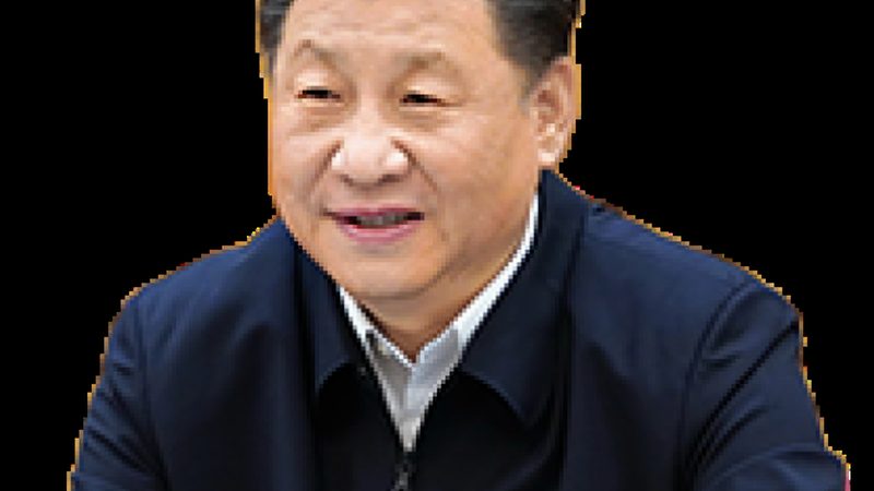 新材料应用加盟代理，如何把握市场脉搏？**